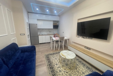 Apartment 1+1 for rent